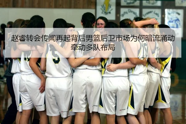 赵睿转会传闻再起背后男篮后卫市场为何暗流涌动牵动多队布局